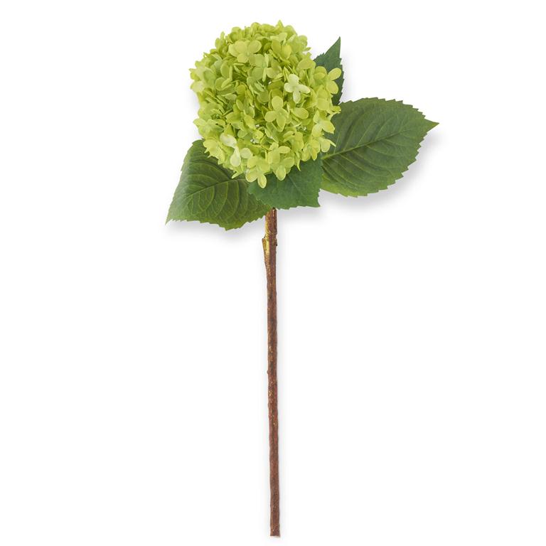 29 Inch Green Hydrangea Stem
