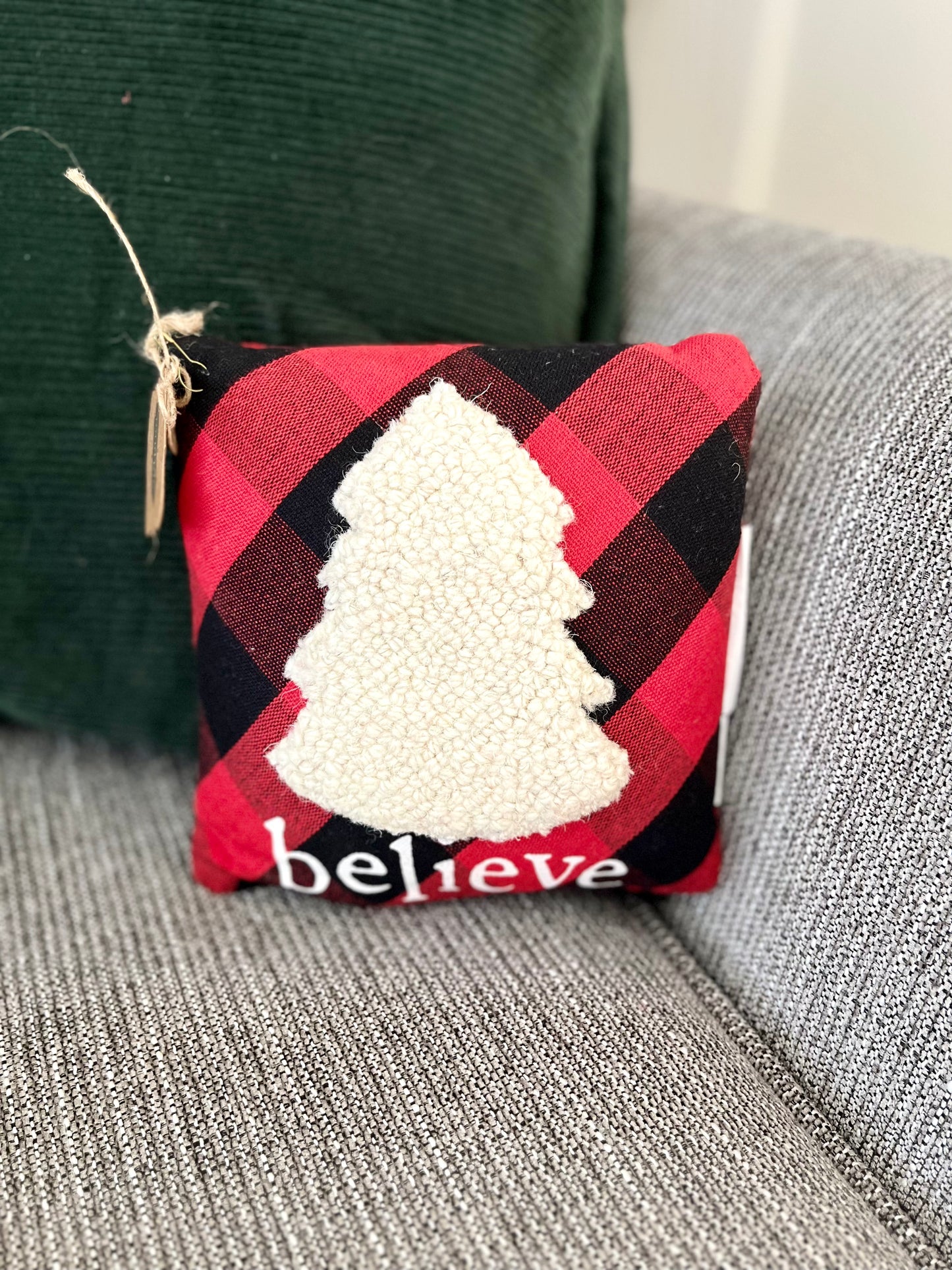 Believe Mini Check Pillow