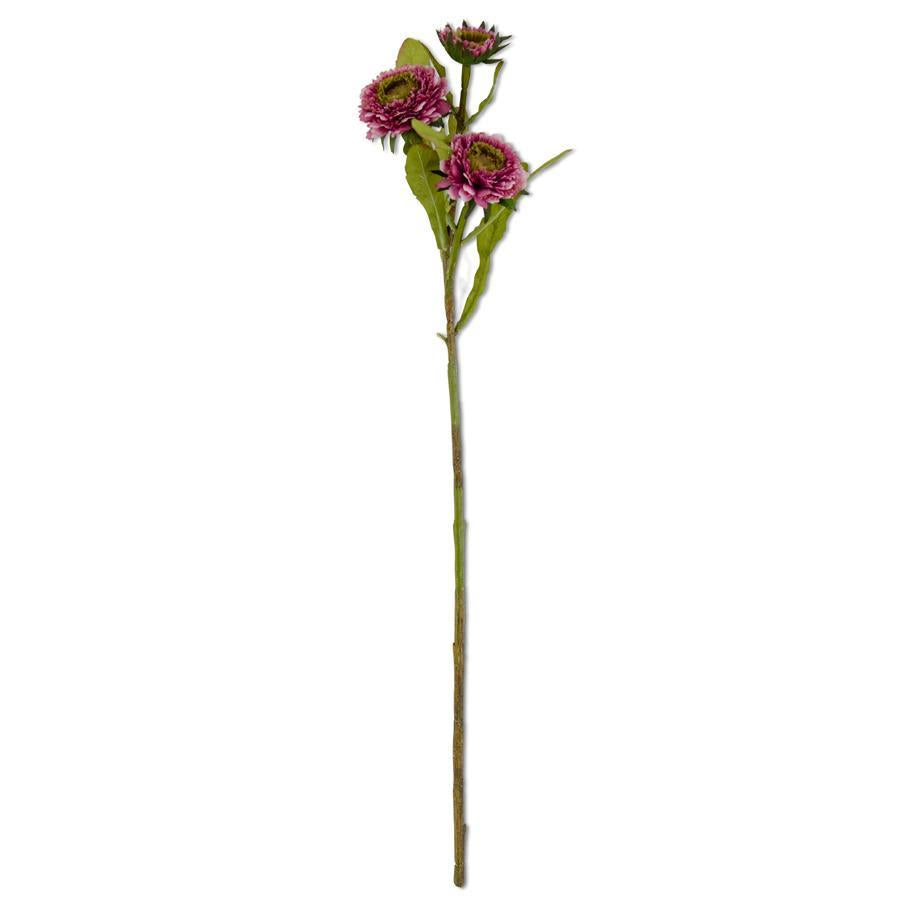 24 Inch Triple Head Purple Zinnia Stem
