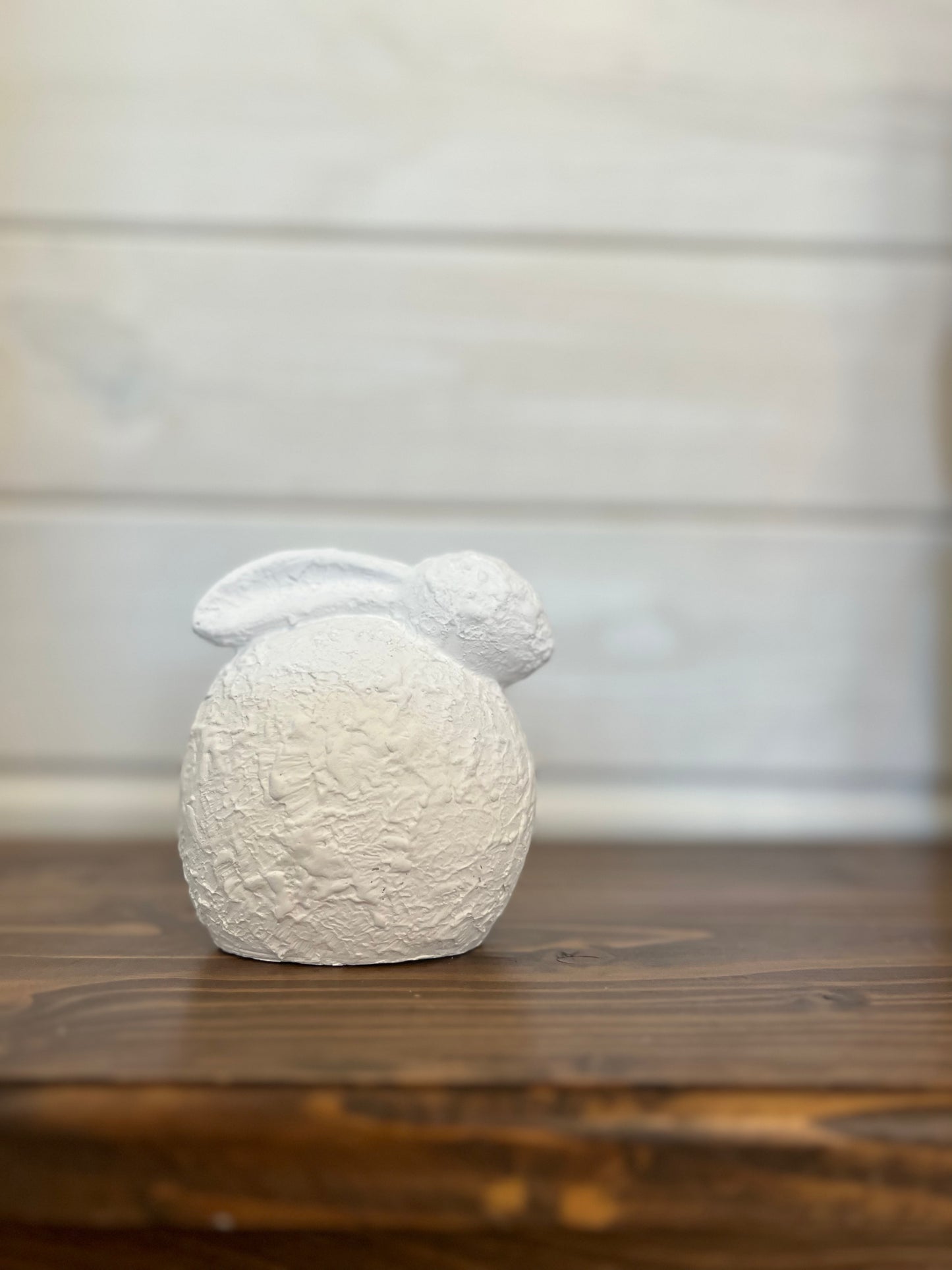 SM Bunny