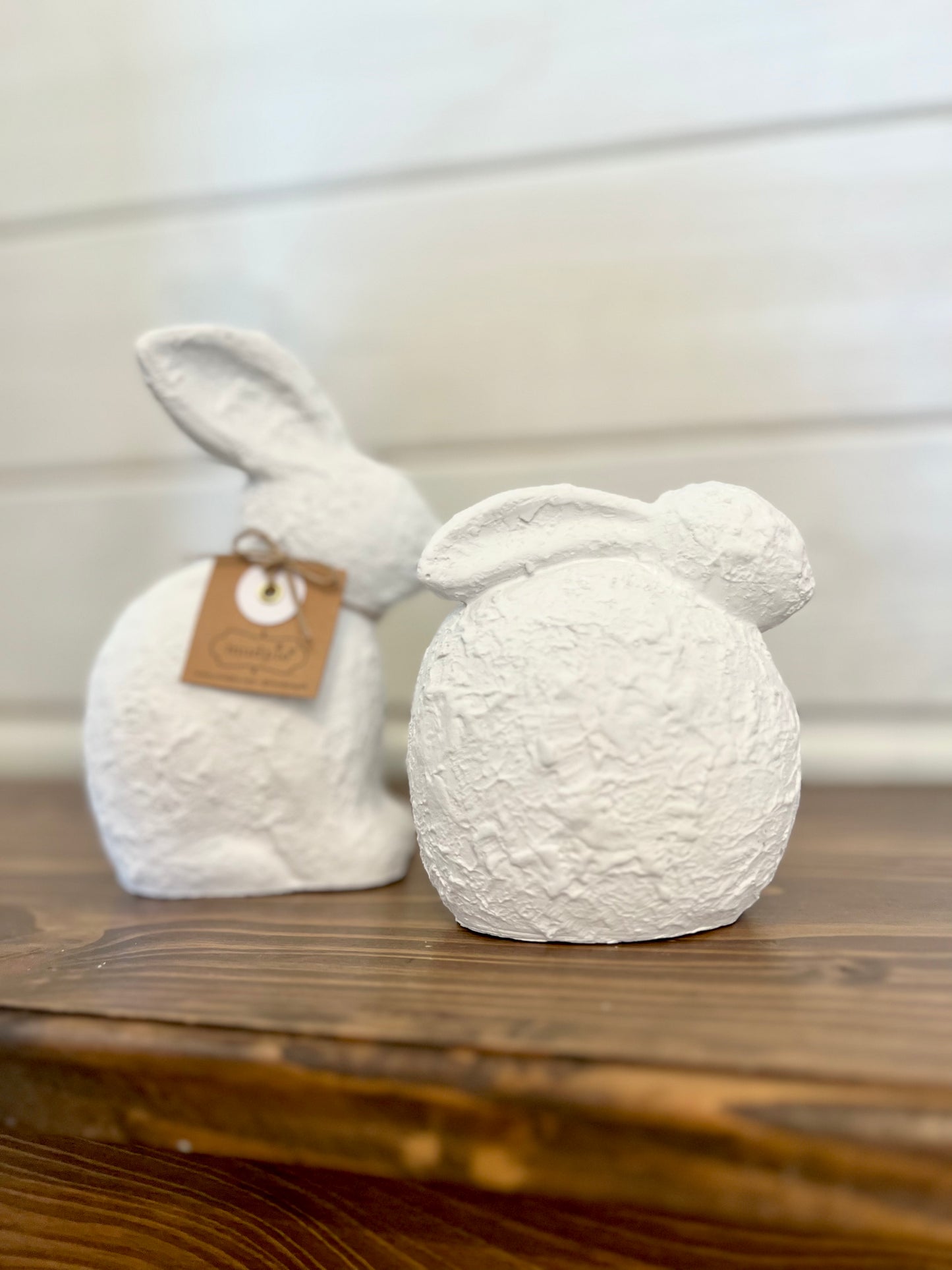 SM Bunny