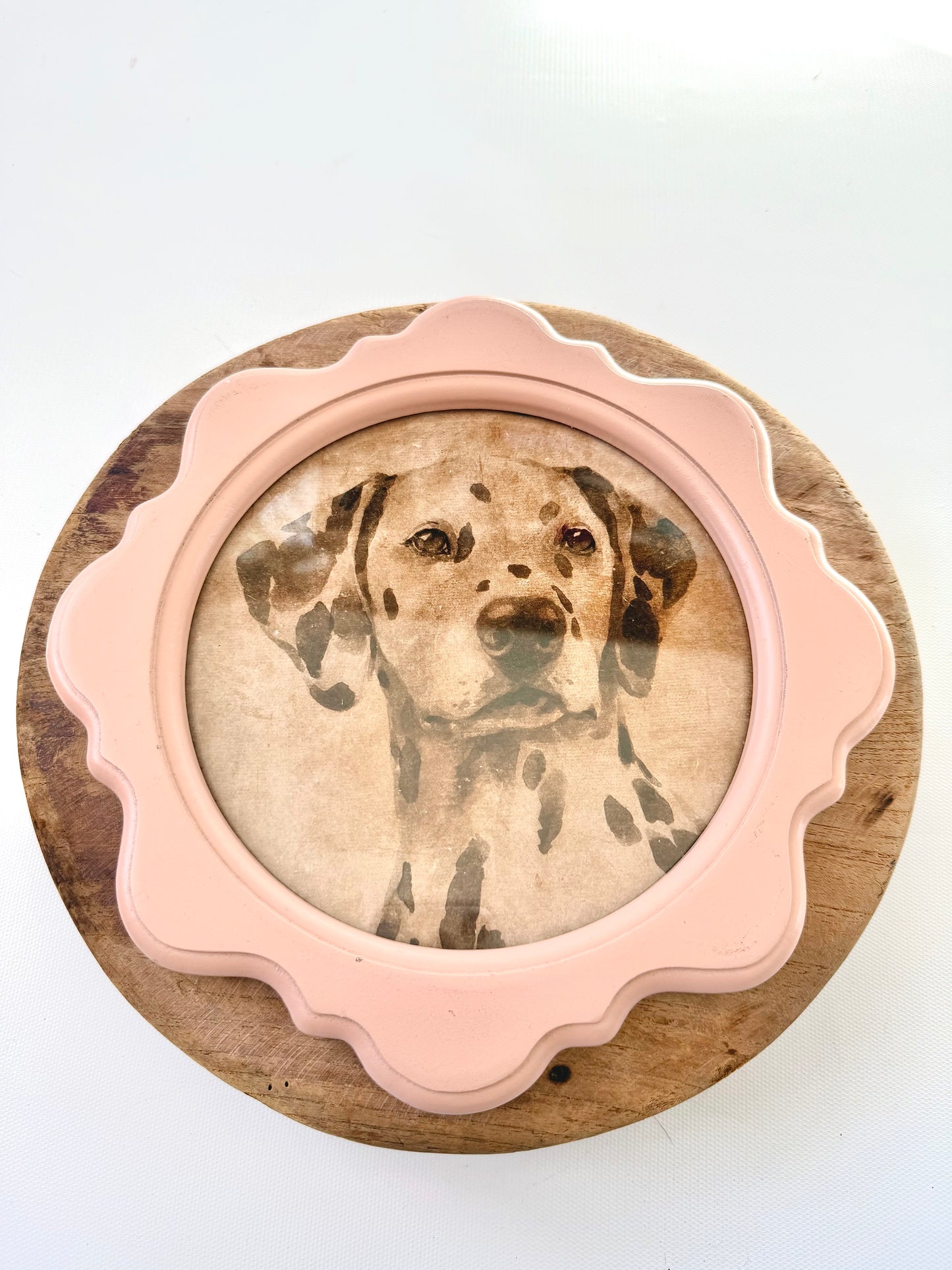 Framed Dog Image