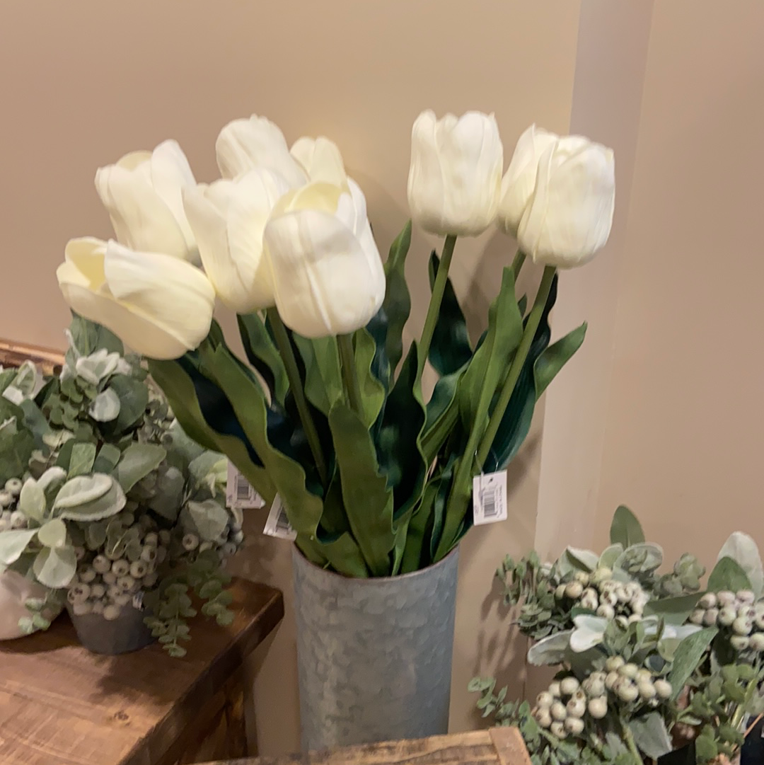 Single White Tulip Stem